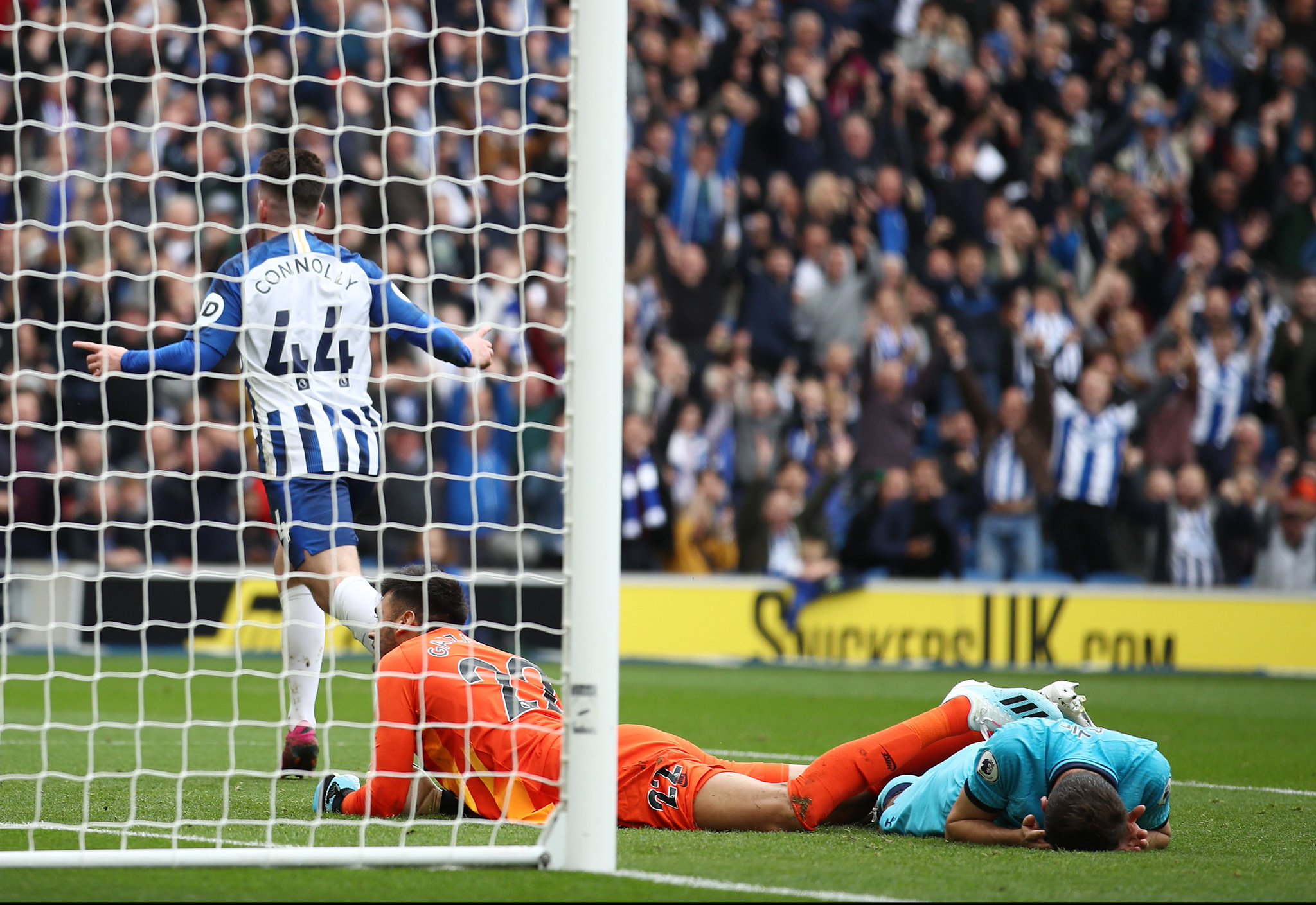 就整体的辉 就整体的辉